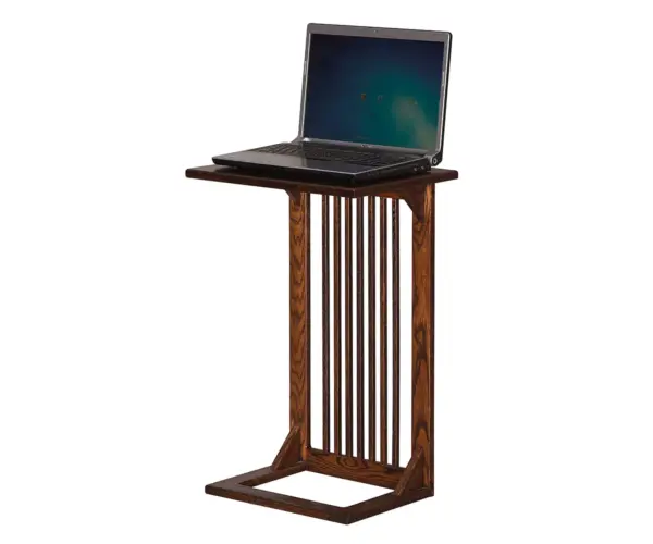 Mission Laptop Server