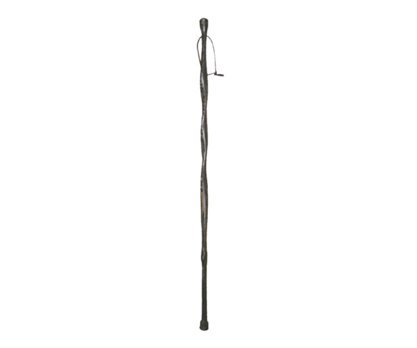 Hiking Stick